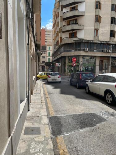 can vidal boutique rooms