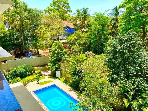 goa