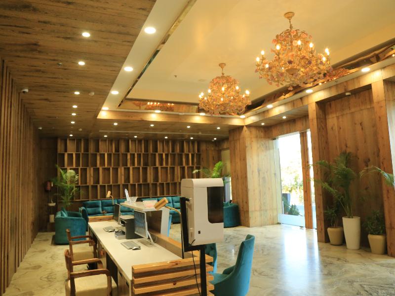 bravia hotel panchsheel