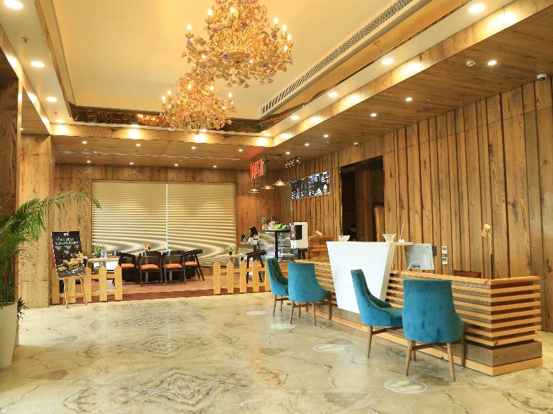 bravia hotel panchsheel