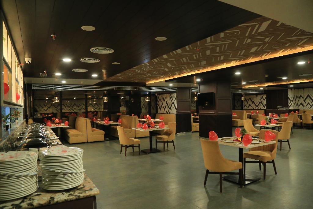 bravia hotel panchsheel