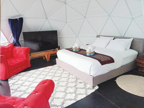 black daimond camping