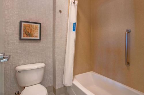 hampton inn and suites borger