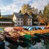 bled