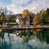 bled