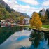 bled