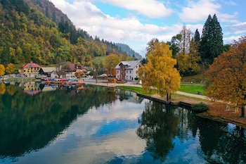 bled