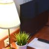 zlote deby hotel