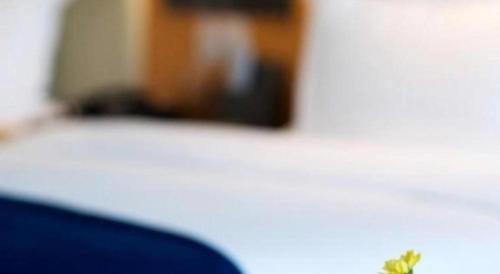 madison hotel zhengzhou zhongyuan futa