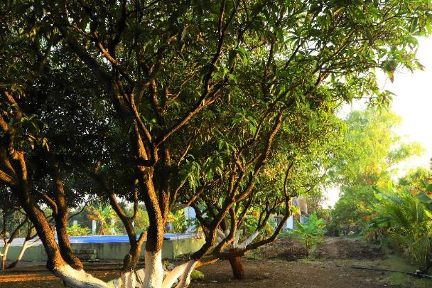 sasangir wilderness camp