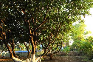 sasangir wilderness camp