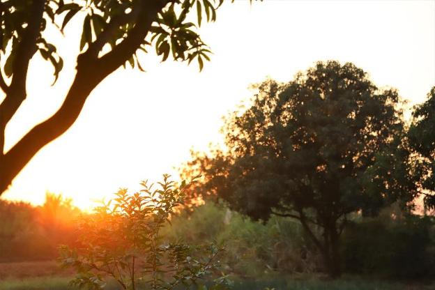 sasangir wilderness camp