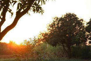 sasangir wilderness camp