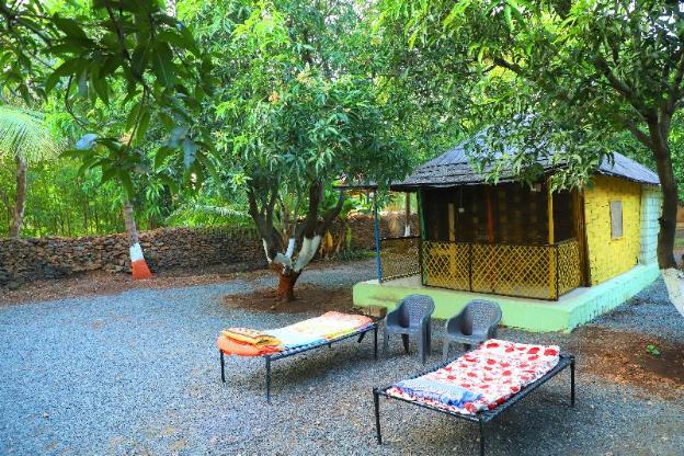 sasangir wilderness camp