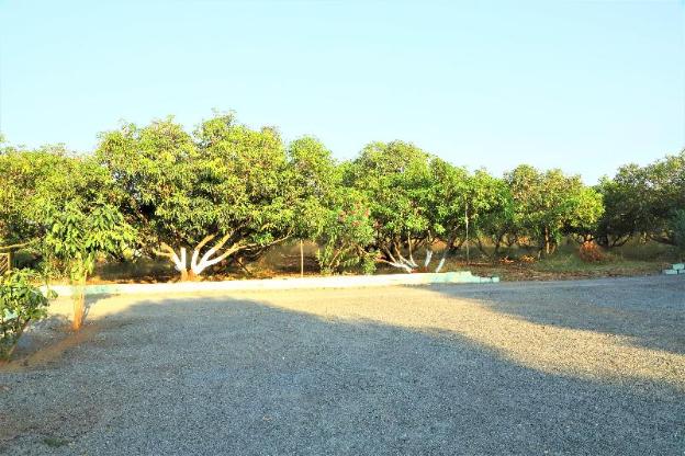 sasangir wilderness camp