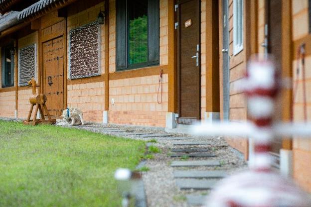 yangyang cheongjong healing forest pension