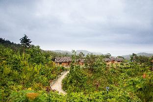 yangyang cheongjong healing forest pension