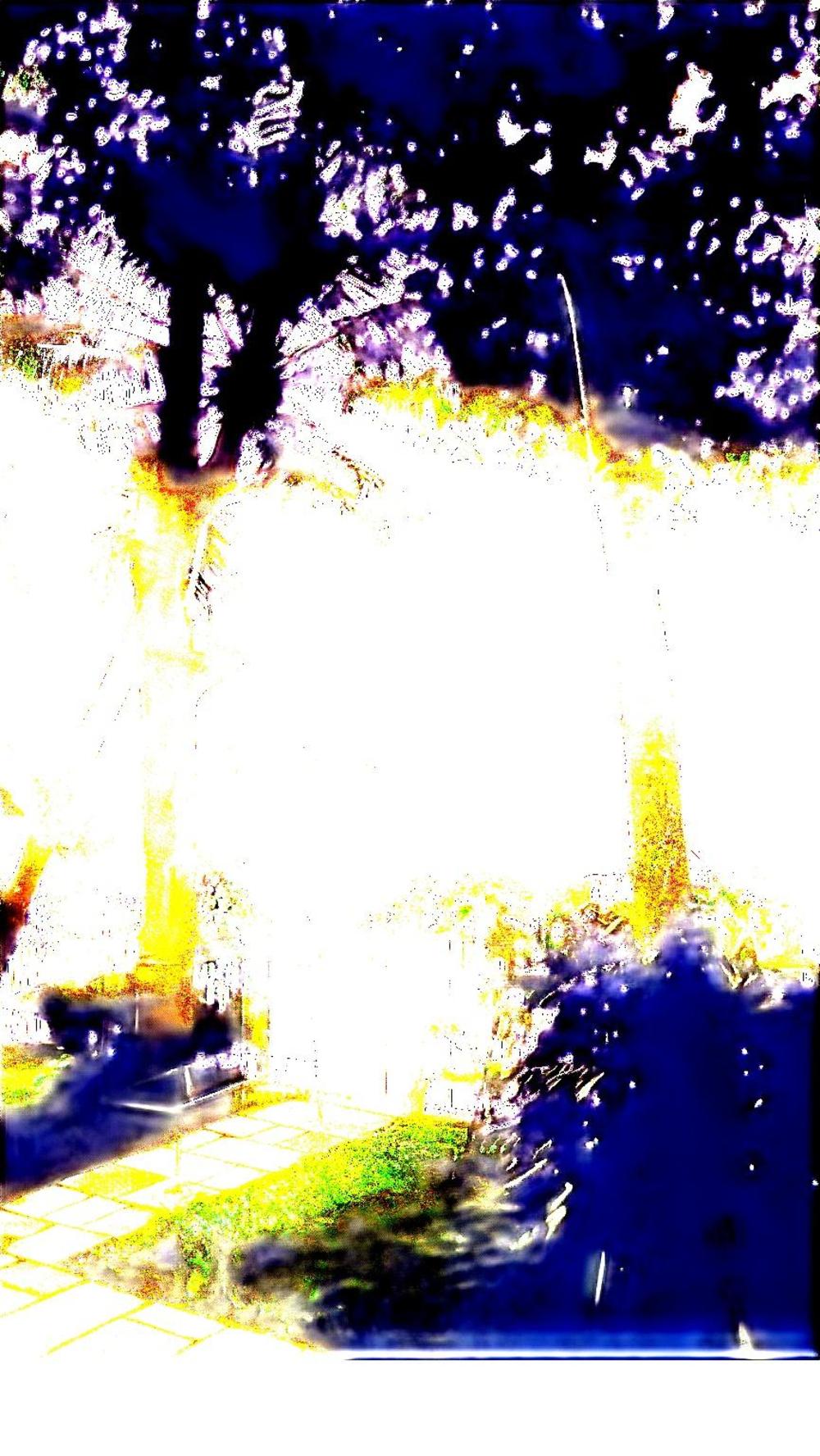 samiira on ashtamudi lake