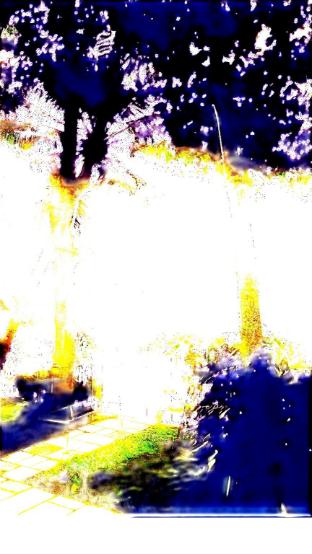 samiira on ashtamudi lake