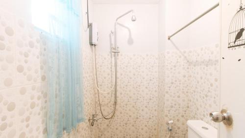 budget backpackers transient house near naia