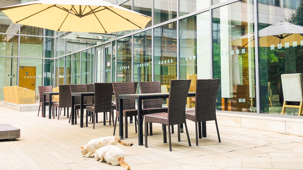 holiday inn beijing shijingshan parkview by ihg