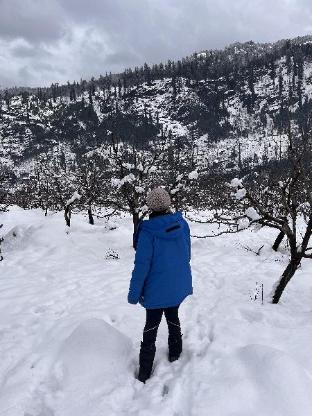 manali