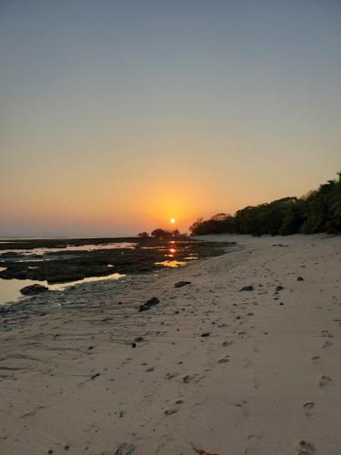 royal neil resort