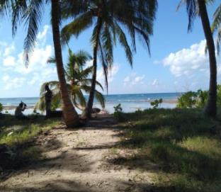 royal neil resort