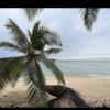 andaman and nicobar islands