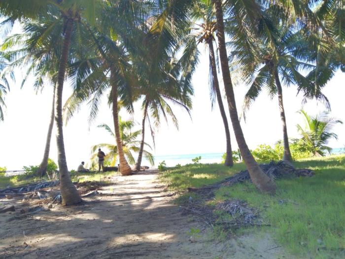 andaman and nicobar islands