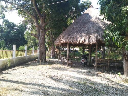 andaman and nicobar islands