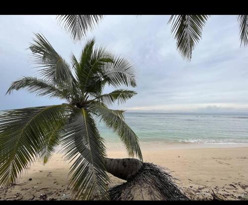 andaman and nicobar islands