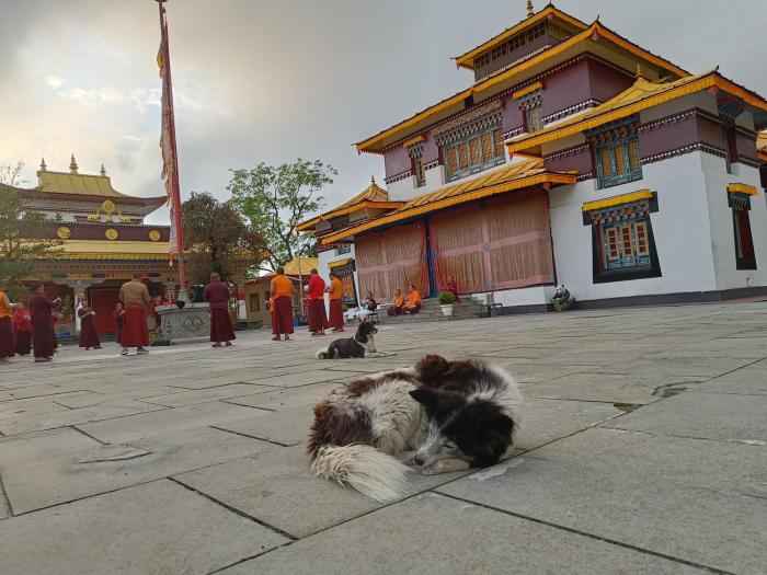 gangtok