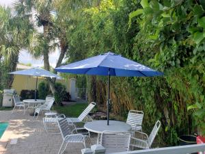 siesta key
