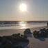 sea spray resort