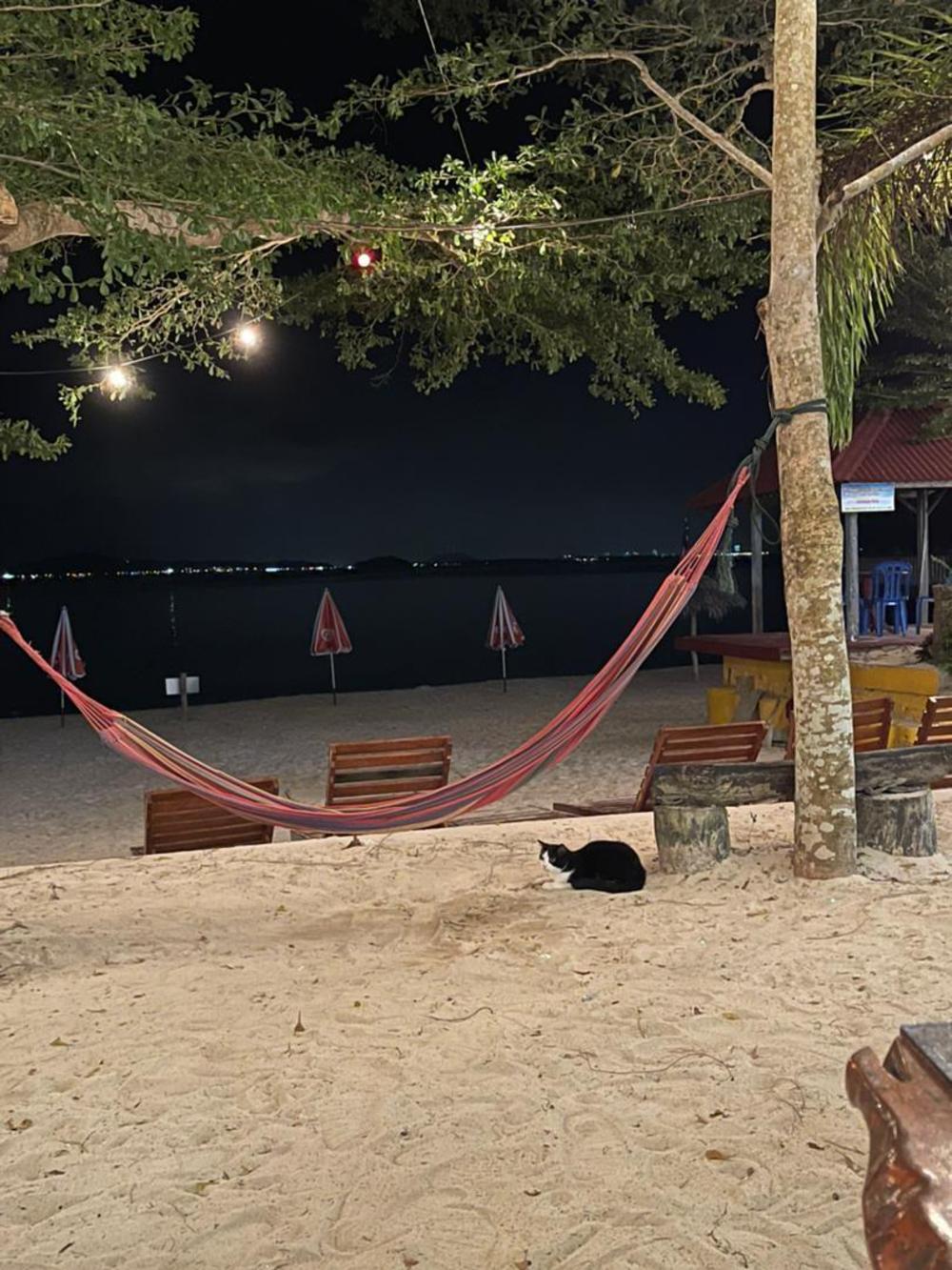 kapas coral beach resort