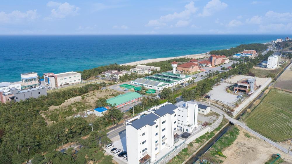 gangneung joeungot poolvilla
