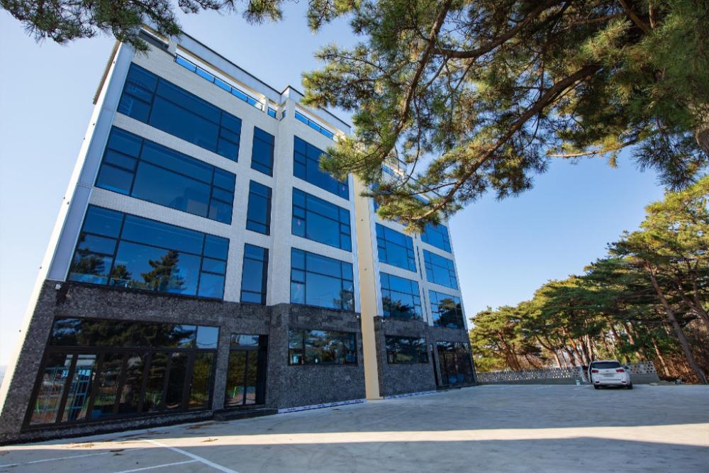 gangneung joeungot poolvilla