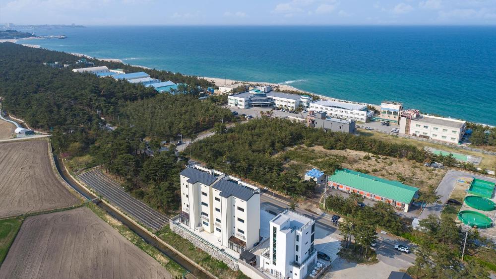 gangneung joeungot poolvilla