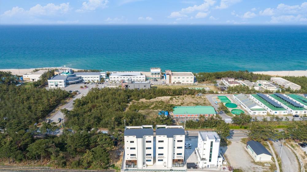 gangneung joeungot poolvilla
