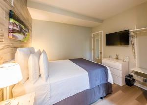 the georgetown house