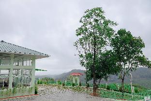 belle bonami resort