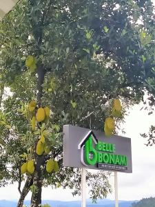 belle bonami resort