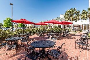 hilton garden inn florence