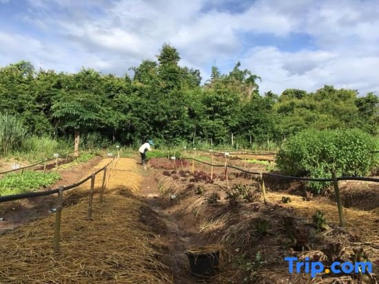 kongkarn resort and farmstay