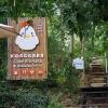 kongkarn resort and farmstay