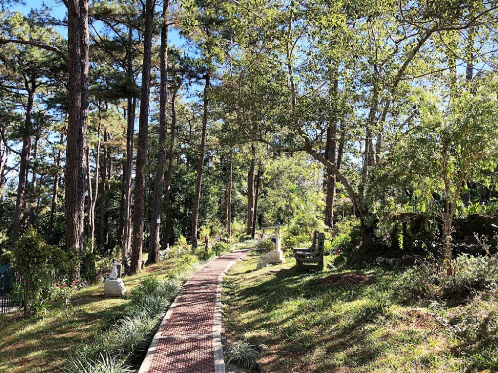 reddoorz hostel baguio tourist cabin