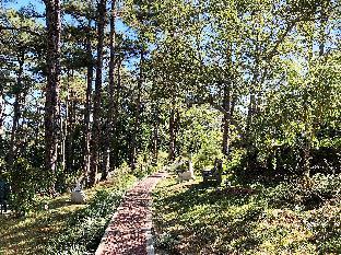 reddoorz hostel baguio tourist cabin