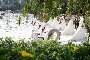 reddoorz hostel baguio tourist cabin