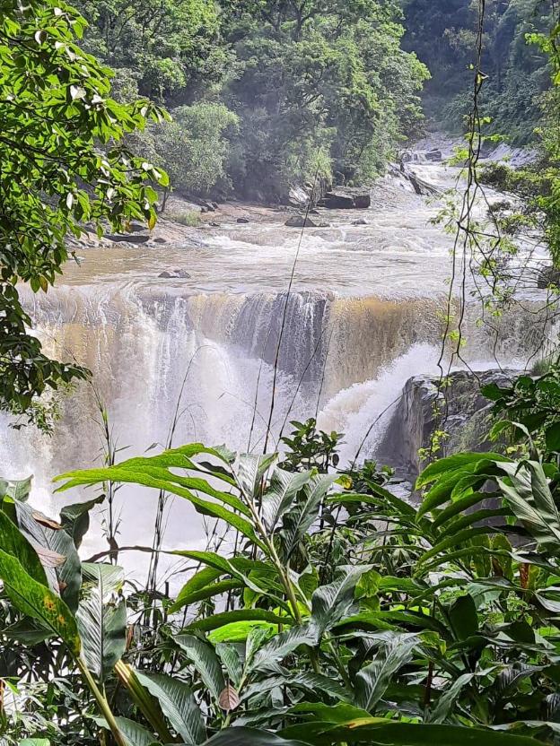 the cascade munnar